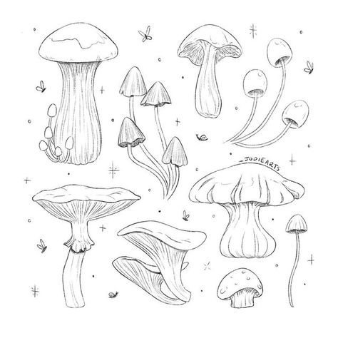 Pen Mushroom Drawing, Mushroom Drawing Ideas Easy, Golden Teacher Mushroom Tattoo, Cool Nature Drawings, Sketchbook Mushroom, Toadstool Drawing, Mushroom Sketchbook, How To Draw Mushrooms, Mushroom Person