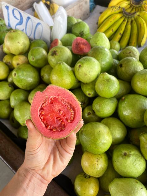 Guava Aesthetic, Guava Fruit Aesthetic, Guava Pictures, Costa Rica Fruit, Caribbean Fruits, Hawaii Fruit Aesthetic, Guava Plant, Watermelon Girl, Pineapple Guava