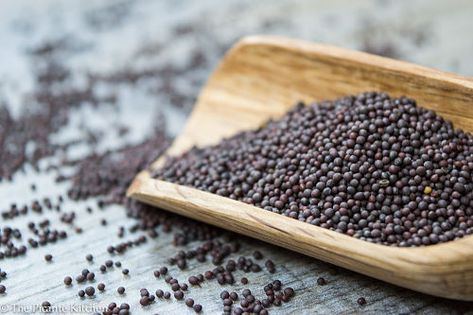 Mustard Seed 101: HEALTH & BEAUTY BENEFITS ⋆ Sweet & Masālā Paleo Honey Mustard, Yu Choy, Mustard Kitchen, Honey Mustard Recipes, Mustard Plant, Mustard Chicken Recipes, Kitchen Indian, Choy Sum, Black Mustard Seeds