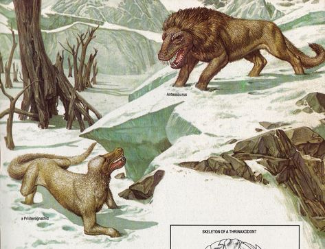 Vintage Dinosaur Art: The Prehistoric World – Part 2 – Love in the Time of Chasmosaurs Retro Paleoart, Mega Fauna, Space Opera Art, Prehistoric Fauna, Prehistoric Mammals, Vintage Dinosaur, Fauna Illustration, Ooga Booga, Beast Creature