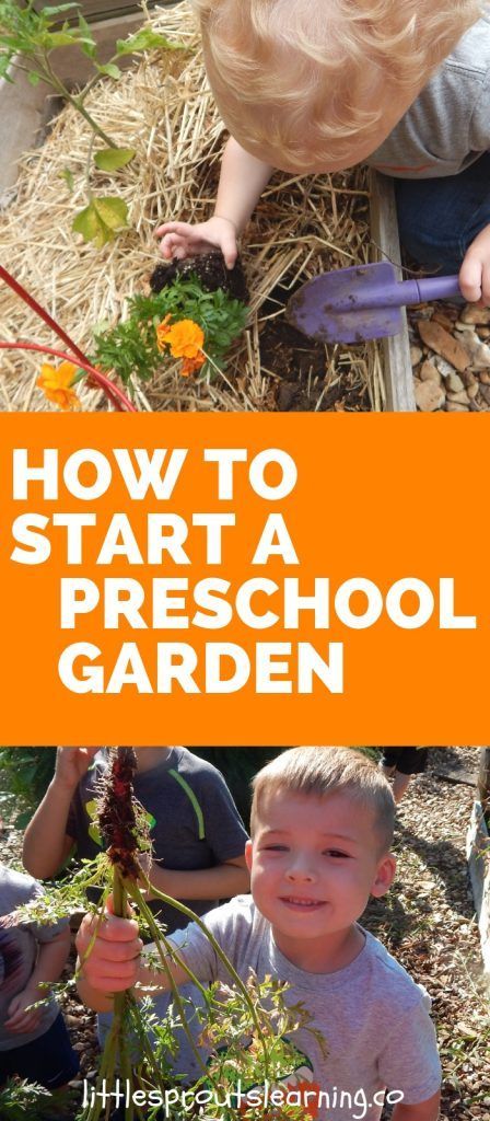 Start A Preschool, Preschool Garden, Children's Garden, Starting A Garden, School Garden, Sustainable Garden, Organic Gardening Tips, Garden Pests, Summer Activities For Kids