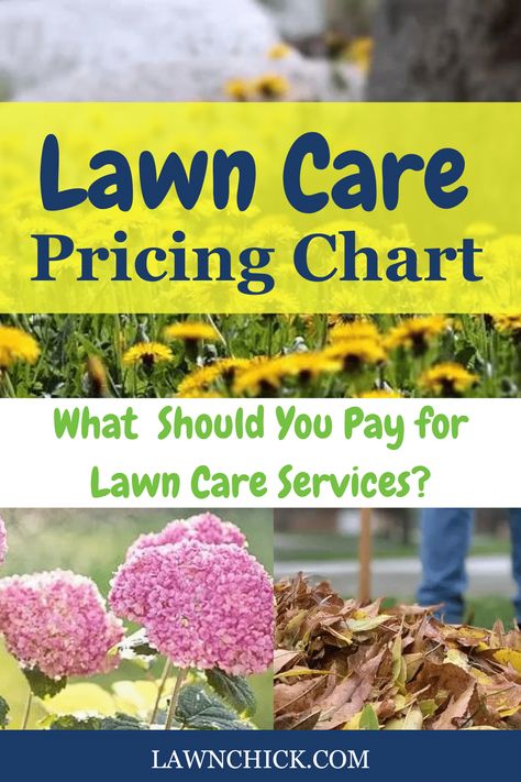 Hiring a lawn care service is a fantastic way of saving you time and energy. Plus, you'll get a beautiful lawn. But how much should you expect to pay if you get lawn care services? Find out exactly that in this helpful blog post. We've put together a handy lawn care service pricing chart, so you can see cost information at a glance. Plus, we define and describe all the individual services, so you can quickly and easily figure out which ones you want and need. Yard Cleanup, Lawn Care Business, Maintenance Checklist, Lawn Service, Want And Need, Garden Services, Lawn Maintenance, Tree Service, Soil Health