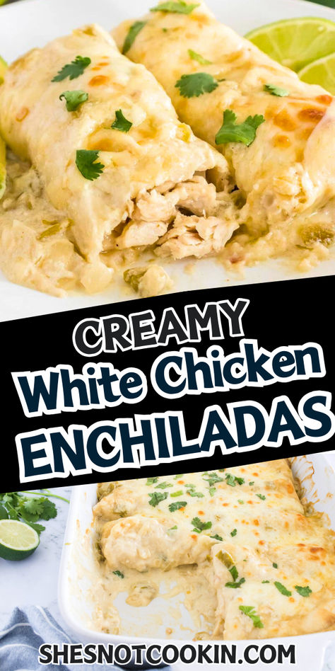 White chicken enchiladas on a white plate. White Chicken Enchilada Casserole Easy, Easy White Enchiladas, White Cheese Enchiladas Easy, Easy Creamy White Chicken Enchiladas, Creamy Cheesy Chicken Enchiladas, Chicken Enchiladas No Cheese, Chicken Enchiladas With White Queso, White Cheesy Chicken Enchiladas, Freezable Chicken Enchiladas