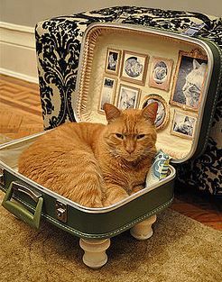 Catbed from suitcase - step by step Photo tutorial - Schritt für Schritt Bildanleitung Katt Diy, Diy Cat Bed, Katt Grejer, Kat Diy, Diy Suitcase, Old Suitcases, Diy Cat, Modern Cat, Animal Projects