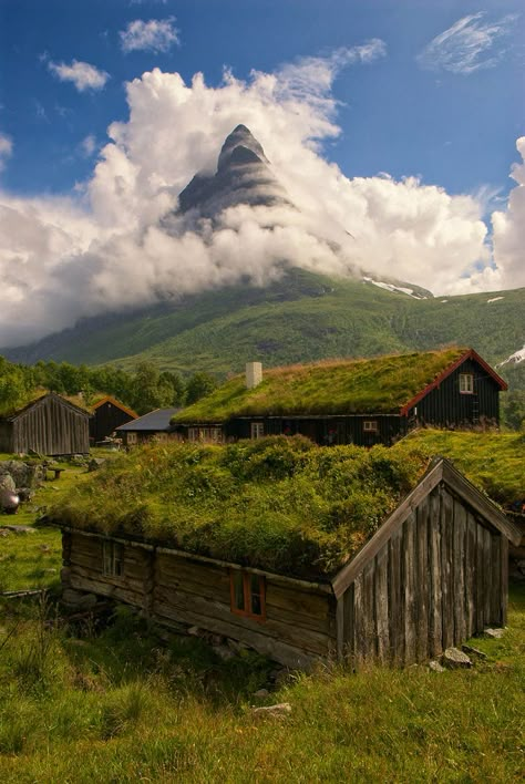 Renndølsetra, Norway, The Land Of Fjords, Trolls, And Vikings Norway Landscape, Visit Norway, Beaux Villages, Green Roof, Reykjavik, House In The Woods, Pool House, The Roof, Places Around The World