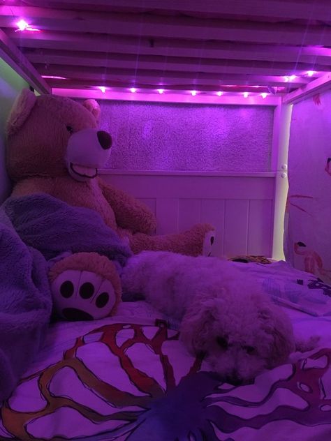 Aesthetic Top Bunk Ideas, Bunk Bed With Led Lights, Bunk Bed Rooms Aesthetic, Bunk Bed Ideas Aesthetic, Aesthetic Bunk Bed Rooms, Led Lights Bunk Bed, Room Ideas Bunk Beds Aesthetic, Bottom Bunk Ideas, Bottom Bunk Bed Decorating Ideas