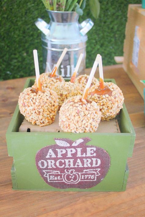 Nut Covered Caramel Apples from a Farmers Market Birthday Party via Kara's Party Ideas | KarasPartyIdeas.com (9) Fall Desserts Table, Farmers Market Birthday Party, Wedding Food Bars, Autumn Wedding Food, Caramel Apple Bars, Patch Party, Fall Harvest Party, Apple Bars, Dessert Bar Wedding