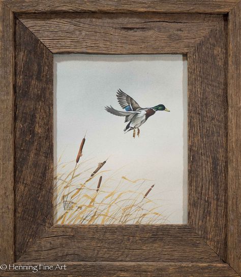 "We accept competitive offers on all works of fine art and can provide international shipping, please send us a direct message to inquire. Lee Cable (1943 - ) $335.00 Lee Cable (1943 - ) Flying Mallard Over Cattails Watercolor on Paper 10 1/4 x 8 Inches (painting) 15 1/2 x 13 1/2 inches (frame) Signed: \"L. Cable\" Dated: 1978 Up for sale is an attractive watercolor painting by the talented wildlife painter Lee Cable depicting a flying mallard duck over cattails. Signed in the lower left corner Rustic Hunting Decor, Hunting Painting, Duck Nursery, Mallard Ducks, Duck Photo, Ducks Unlimited, Duck Art, Paint Inspiration, Canvas Drawing