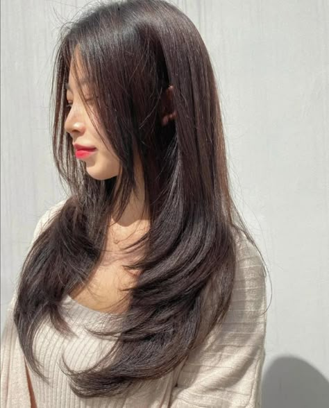 Kpop Layered Haircut, Layers For Long Hair Asian, Haircuts For Straight Asian Hair, Long Layered Hair Asian Straight, Face Framing Layers Long Hair Asian, Kdrama Haircut Women, Layers For Long Hair Front View, Long Layers Korean, Long Hair With Layers Asian