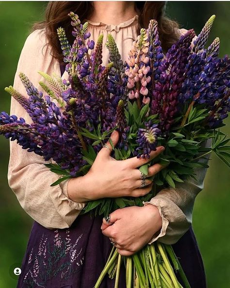 Lupine Flowers, Pink Flower Bouquet, 2022 Art, Pink Photography, Flower Cottage, Flower Artists, Still Life Flowers, Picture Editor, Hand Flowers