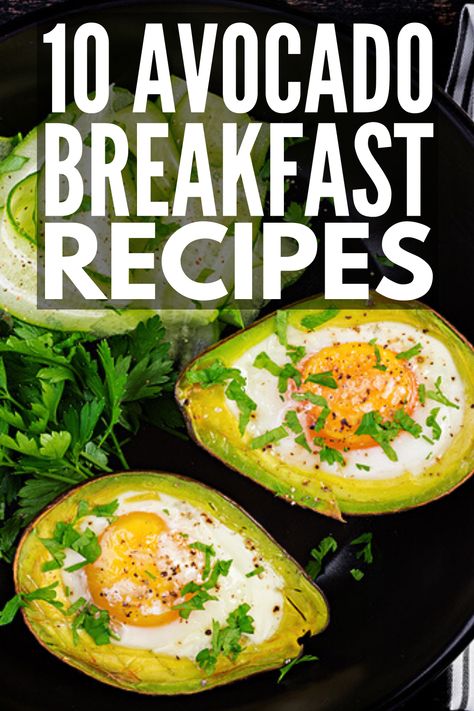 Avacodo Breakfast, Avocado Breakfast Ideas, Avocado Breakfast Recipes, Healthy Avocado Recipes, High Fiber Recipes, Fiber Recipes, Avocado Snack, Avocado Recipes Breakfast, Avocado Recipes Healthy