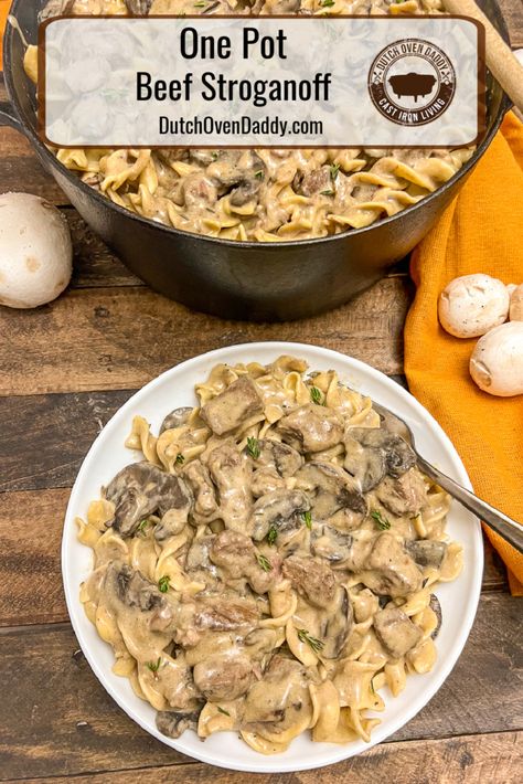 Dutch Oven One Pot Meals, Cast Iron Recipes Dutch Oven, One Pot One Portion, Beef Dutch Oven Recipes Dinners, Beef Stroganoff In Dutch Oven, One Pot Beef Stroganoff Easy, Beef Stroganoff Dutch Oven, Beef And Noodles In Dutch Oven, Dutch Oven Recipes Easy