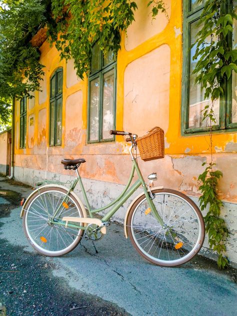 Bike Reference Photo, Vintage Bike With Basket, Cottagecore Bicycle, Vintage Cruiser Bike, Retro Bycicles, Bikes With Baskets, Vintage Bikes With Basket, Bicycle Aesthetic Vintage, City Bike Aesthetic