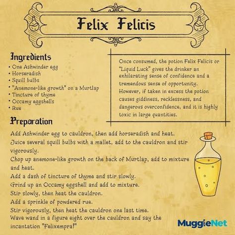 Harry Potter Potions Recipes, Harry Potter School Books, Harry Potter Potion Ingredients, Harry Potter Classes, Harry Potter Wall Decor, Harry Potter Notebook, Hogwarts Classes, Harry Potter Bedroom Decor, Harry Potter Journal