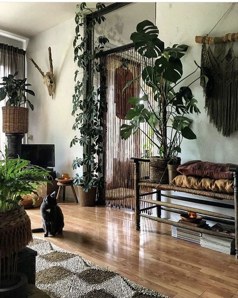 Houseplant Living Room, Nature Living Room Aesthetic, Plant Lover Living Room, Dark Plant House Aesthetic, Moody Plant Living Room, Minimalist Plant Living Room, Interior Plants Living Room, Rainforest Home Decor, Boho Living Room With Plants