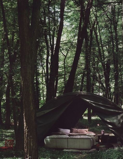 Dirty Beaches+Loscil+Terje+ Avey Tare » ISO50 Blog – The Blog of Scott Hansen (Tycho / ISO50) Outdoor Therapy, Forest Camping, Camping Inspiration, Camp Camp, Camping Stuff, Camping Tents, Art Camp, Vintage Campers, Camping Bed