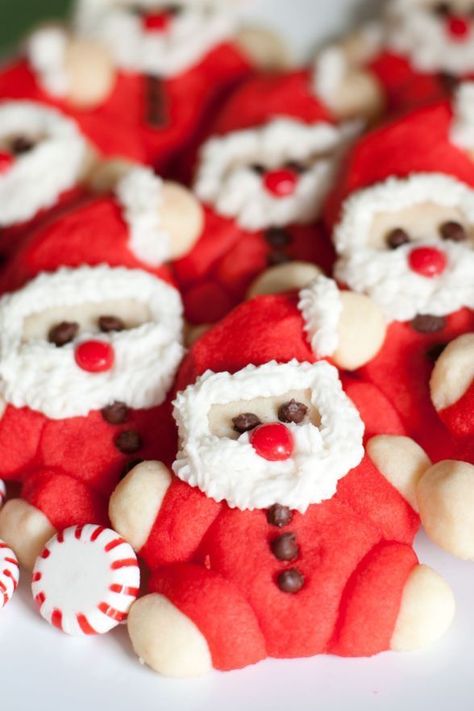 Eden’s Roly-Poly Santas Santa Recipes, Santa Cookie Recipe, Jul Kaka, Christmas Cookie Swap, Snack Trays, Cute Christmas Cookies, Creative Cooking, Santa Cookies, Xmas Cookies