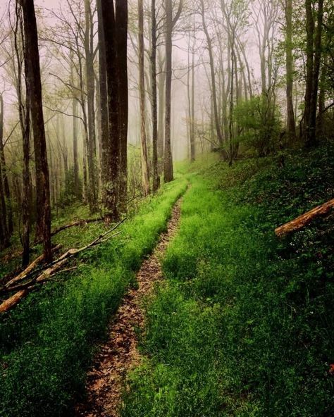 Cumberland Gap National Park, Cumberland Gap, Gatlinburg Vacation, Red River Gorge, Into The Forest, Morning Mist, Scenic Routes, Travel Memories, Heaven On Earth