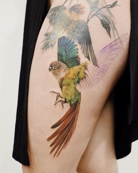 Shirley Liang on Instagram: “Green cheeked conure started on Hellen’s thigh piece! Happened to work out that some of these little guys are from Australia as well so…” Conure Tattoo, Green Cheeked Conure, Conure Bird, Parrot Tattoo, Old Pokemon, Thigh Piece, Pokemon Tattoo, Fairy Tattoo, Black Ink Tattoos