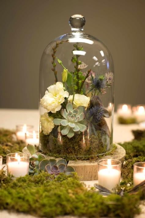 Terrium Centerpieces, Forest Centerpieces Wedding, Cloche Centerpiece, Cloche Wedding Centerpiece, Enchanted Floral Arrangements, Secret Garden Centerpiece Ideas, Whimsical Woodland Wedding, Mushroom Table Centerpieces, Dome Centerpieces Wedding