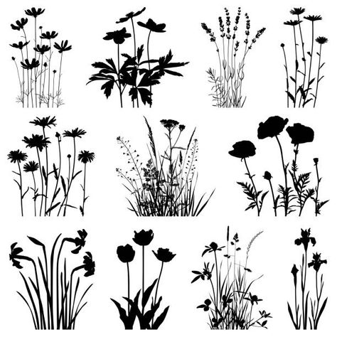 Stencils Printables Templates, Garden Illustration, Flower Silhouette, Cosmos Flowers, Bird Silhouette, Plant Illustration, Silhouette Art, Free Vector Graphics, Nature Images