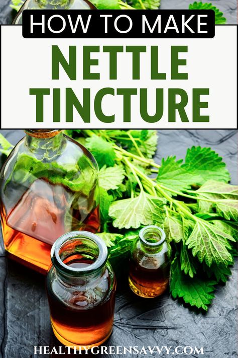 Ever tried making stinging nettle tincture? Tincturing herbs is an easy, effective way to extract medicinal compounds and preserve them for a long time. Find out about stinging nettle tincture benefits and why it's worth learning to make your own. | medicinal wild plants | herbalism | natural remedies | how to make nettle tincture | Nettle Tincture, Sleep Beauty, Medicinal Garden, Stinging Nettle, Herbal Plants, Magic Herbs, Herbal Tinctures, Natural Healing Remedies, Diy Remedies