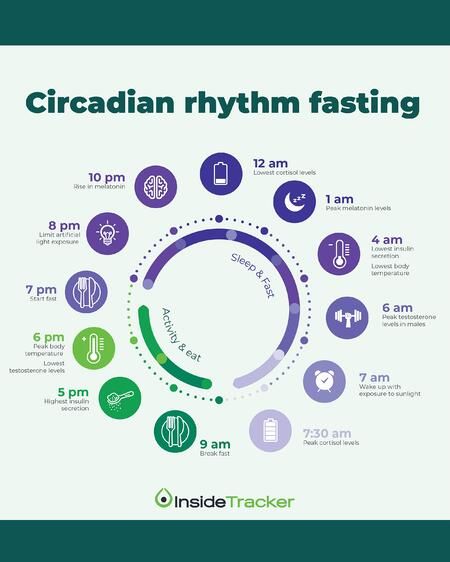 Circadian Rhythm Fasting: Eating to Align with Your Internal Clock Low Cortisol Levels, Circadian Clock, Menstrual Phase, Body Clock, Cycle Syncing, How To Sleep Faster, Cortisol Levels, Body Energy, Testosterone Levels