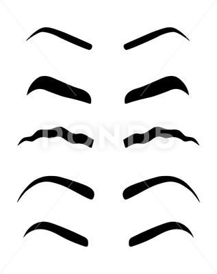 Types of women's eyebrows. Vector Illustration. Eyebrow waves. A new trend 2018 Stock Illustration #AD ,#Vector#Illustration#eyebrows#Types Eyebrow Types, Cartoon Eyebrows, Funny Eyebrows, Crazy Eyebrows, Eyes Icon, Unicorn Eyelashes, Beards And Mustaches, Types Of Eyebrows, Creative Typography Design