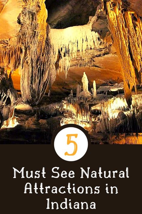 Looking for a last-minute summer trip or already planning for fall break? Check out these 5 natural attractions in Indiana. Nature, Indiana Vacation, Secret Bar, Indiana Travel, Northern Indiana, Fall Break, Summer Trip, Main Attraction, Summer Adventures