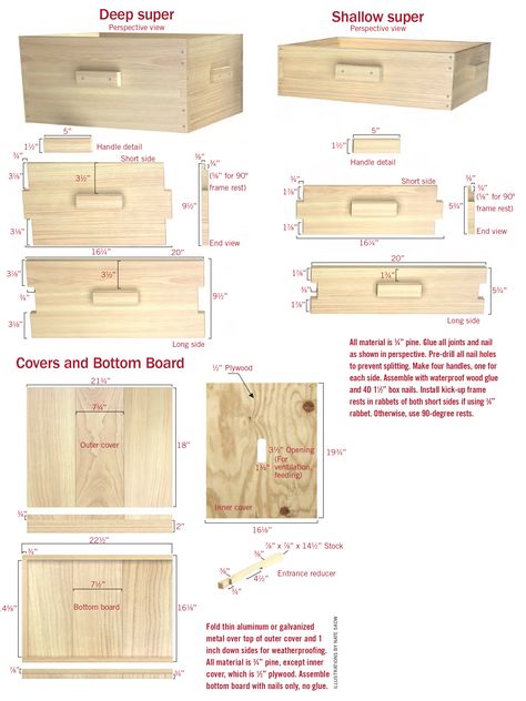 Build Your Own Bee Hive--All material is 3⁄4” pine. Glue all joints and nail as shown in perspective. Pre-drill all nail holes to prevent splitting. Building A Beehive, Backyard Bees, Bee Hives Diy, Bee Hives Boxes, Bee Hive Plans, Backyard Bee, Beekeeping For Beginners, Raising Bees, Bee Supplies