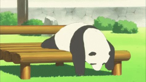 Lazy GIF - Lazy Panda - Discover & Share GIFs Lazy Gif, Polar Bear Cafe, Thanks Gif, Paper Picture Frames, Panda Gif, Cute Panda Cartoon, Hyrule Warriors, Peace Illustration, Cartoon Gifs