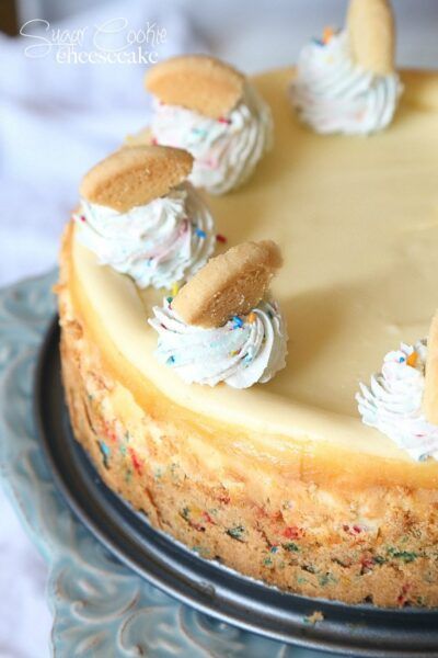 Sugar Cookie Cheesecake | Cookies and Cups Simple Cheesecake, Sugar Cookie Cheesecake, Biscotti Cheesecake, Cookie Cheesecake, Cookies And Cups, Cookie Base, Brownie Desserts, Cheesecake Cookies, Oreo Dessert