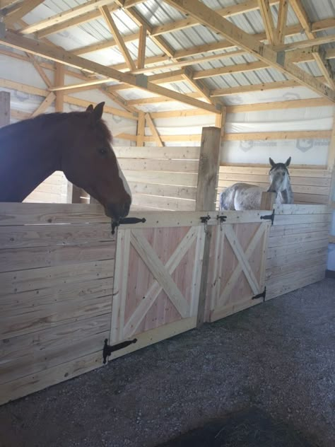 Diy Stall Doors, Horse Stalls Cheap, Diy Horse Stalls, Horse Stalls Diy, Miniature Horse Barn, Horse Stalls Doors, Dream Barn Stables, Small Horse Barns, Horse Farm Ideas