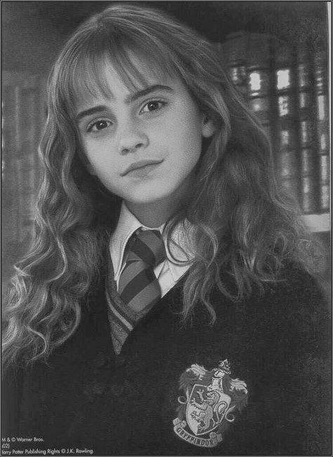 Emma Watson Sketch, Hermione Granger Drawing, Hermione Granger Art, Harry Potter Portraits, Harry Potter Sketch, Harry Potter Art Drawings, Celebrity Portraits Drawing, Pen Art Work, Harry Potter Images