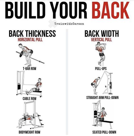 Back Workout Program, Row Variations, Temple Building, Ectomorph Workout, Aesthetic Bodybuilding, Workout Man, Wellness Nutrition, Boxing Fitness, Daily Burn