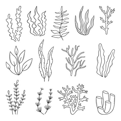 Coral Reef Drawing, Coral Tattoo, Coral Drawing, Underwater Drawing, Ocean Plants, Helloween Wallpaper, Ocean Drawing, Plant Doodle, Sea Drawing