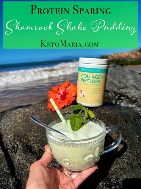 Protein Sparing Shamrock Shake PuddingProtein Sparing Shamrock Shake Pudding Maria Emmerich Recipes, Carnivore Deserts, Keto Maria, Healthy Shamrock Shake, Keto Mousse, Psmf Diet, Shamrock Shake Recipe, Shake Protein, Protein Sparing Modified Fast