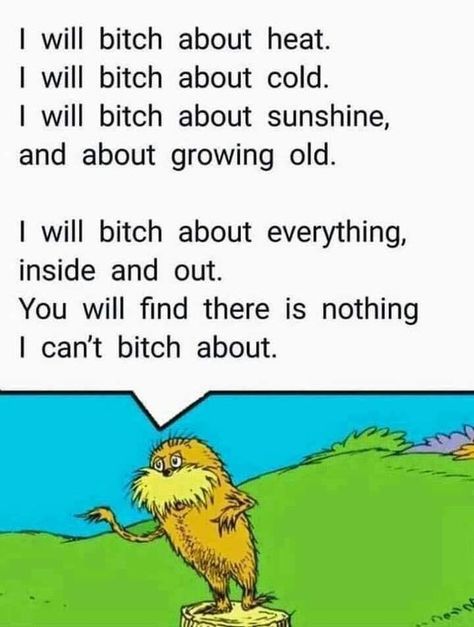 Poem About Myself, Erich Von Stroheim, Funny Memes For Him, Dr. Seuss, Memes For Him, The Lorax, Memes Humor, E Card, What’s Going On