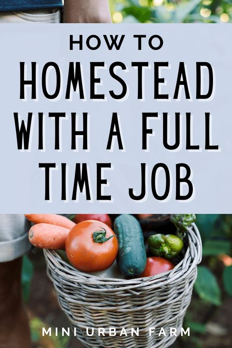 #homesteading #farming #gardenrnrnHow to Homestead With a Full Time Job - Urban Homesteading - Can I Homestead With a Full Time Job? - Mini Urban Farm Cheap Homestead Ideas, Home Steading For Beginners, Modern Homestead Aesthetic, Homestead Hobbies, Home Steading Ideas, Small Homestead Layout, Micro Homesteading, Micro Homestead, City Homesteading