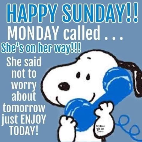 Happy Sunday!! Monday Called...she's On Her Way! Pictures, Photos, and Images for Facebook, Tumblr, Pinterest, and Twitter Happy Sunday Images, Happy Sunday Morning, Sunday Morning Quotes, Sunday Quotes Funny, Good Morning Snoopy, Sunday Greetings, Good Sunday Morning, Sunday Wishes, Sunday Images