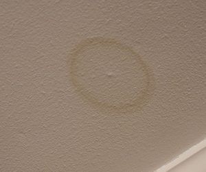 Water stain on ceiling from roof leak. Water Stain On Ceiling, Design A House, Roof Leak, Home Decor Blog, Album Ideas, Ceiling Ideas, Roofing Systems, Family Handyman, Amazing Photo