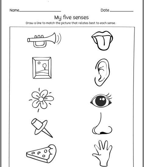 Aktiviti Prasekolah, Five Senses Worksheet, Five Senses Preschool, Senses Preschool, Body Parts Preschool, Senses Activities, Kindergarten Reading Worksheets, Kids Worksheets Preschool, Preschool Math Worksheets