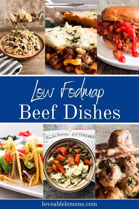 six photos of low FODMAP beef dishes ranging from pasta, shepherd's pie, sloppy joes, beef tacos, beef stew and swedish meatballs. Meals Using Ground Beef, Fodmap Recipes Dinner, Low Fodmap Recipes Dinner, Fodmap Meal Plan, Slow Cooker Ground Beef, Fodmap Friendly Recipes, Low Fodmap Diet Recipes, Fodmap Diet Recipes, Slow Cooker Recipes Beef