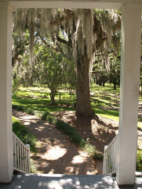 Southern Plantations, Southern Charm, Louisiana Homes, Southern Life, Garden District, Spanish Moss, Greek Revival, The Porch, Southern Belle