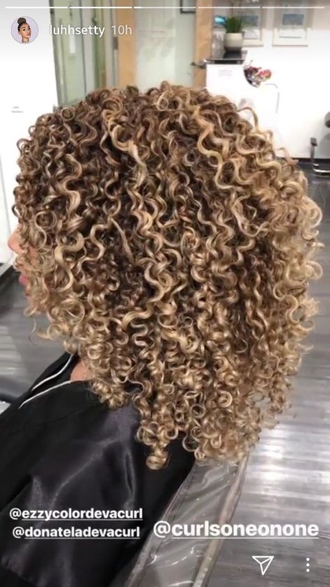 Natural Curls Color Ideas, Summer Golden Brown Hair, Blonde Highlights On Blonde Hair Curly, Bayalage Curly Hair, Curly Highlights Blonde, Blonde Highlights Curly Hair Natural Curls, Blonde Highlights Natural Hair, Curly Hair With Blonde Highlights, Curly Hair Highlights And Lowlights