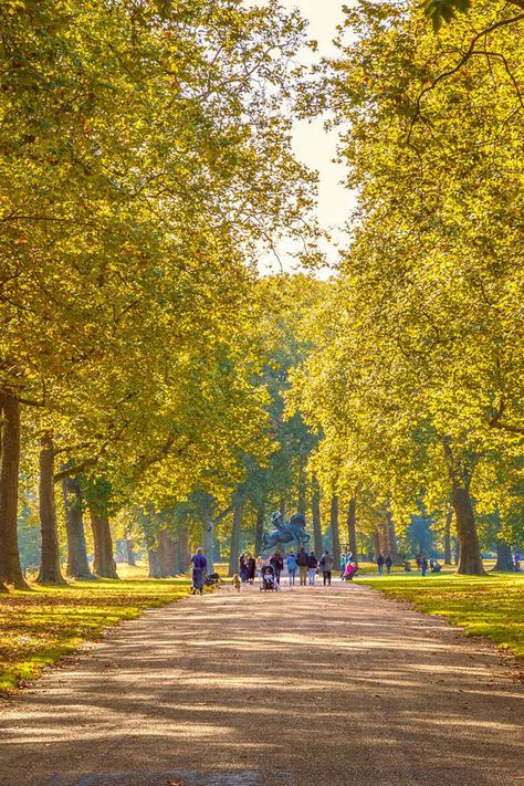 Nature, Hyde Park London Aesthetic, Best Parks In London, Parks In London, London Parks, Richmond London, London Painting, London Fields, London Dreams