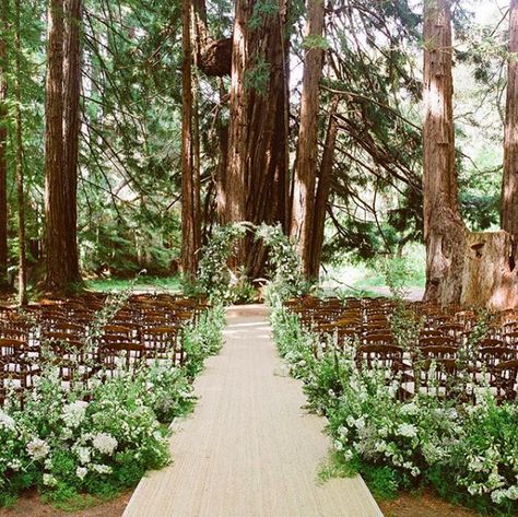 Redwood Wedding Decorations, Elemental Wedding, Romantic Candlelit Wedding, Santa Lucia Preserve, Wedding Locations California, Twilight Wedding, Candlelit Wedding, Forest Setting, Wedding Alters