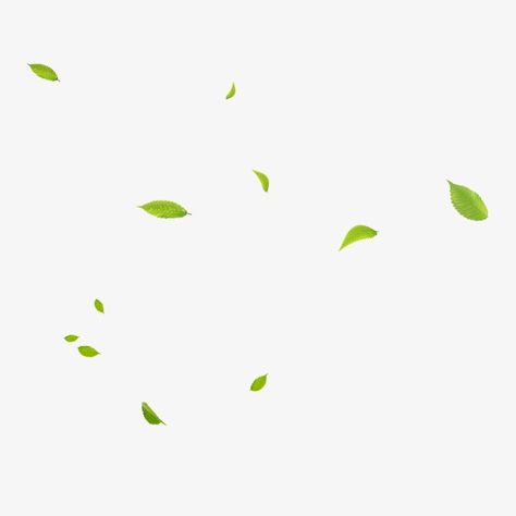 Palm Leaf Plant, Floating Leaves, Contents Layout, Grass Tree, Leaves Png, Golden Texture, Overlays Instagram, Free Png Downloads, Png Aesthetic