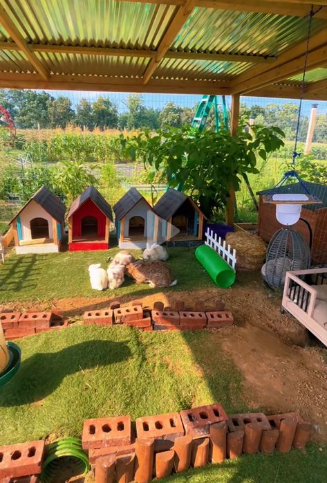 Rabbit Shelter Outdoor Diy, Natural Rabbit Habitat, Bunny Runs Outdoor Diy, Rabbit Habitat Outdoor, Bunny Pen Outdoor, Rabbit Outdoor Habitat, Outdoor Bunny Enclosure, Rabbit Pen Outdoor, Rabbit Enclosure Outdoor