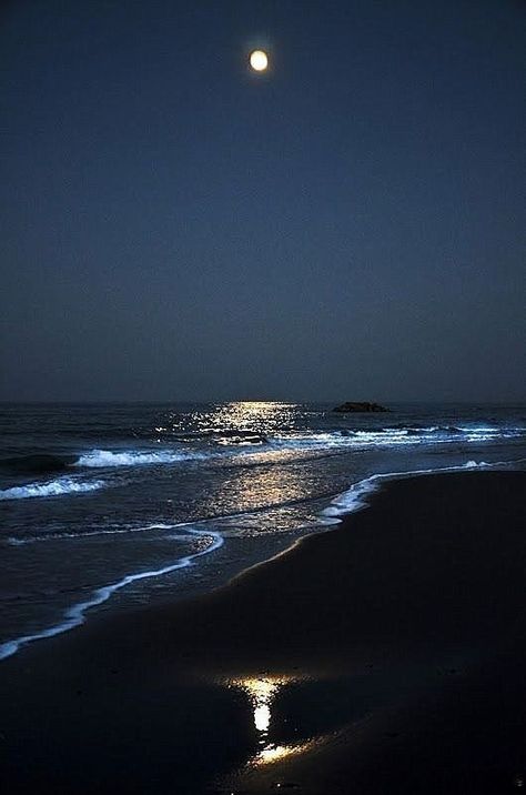 Moon Sea, Jacques Cousteau, Ocean At Night, Water Aesthetic, Sky Photography Nature, Architecture Art Design, Ocean Sky, Ocean Pictures, Night Scenery